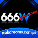 666W Game